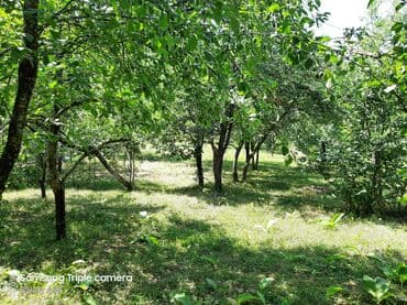 şabran torpaq: 10 sot, Tikinti, Mülkiyyətçi, Kupça (Çıxarış) — 12