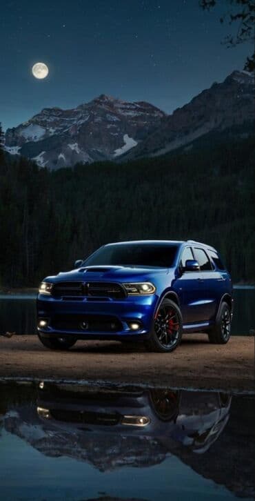 pirsep satilir: Ayiq surucu lazimdisa bize zeng edin. Pesekar suruculer sizin — 1