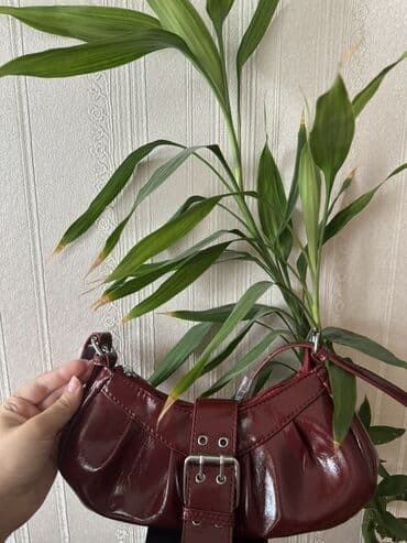 qadin canta: ❤️20azn — 1