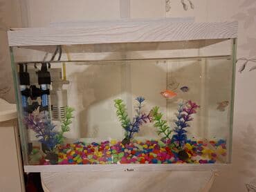 hava matoru: Akvaryum komplekti - Şüşə akvaryum, üst və alt dekorativ ağ — 4