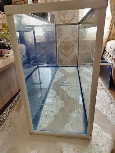 induşka qiyməti: Akvarium satılır . 80×21. hündürlük 40 sm . 3 ədəddir. arxası — 3