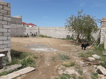 mərdəkanda torpaq: 9 sot, Tikinti, Mülkiyyətçi, Kupça (Çıxarış) — 8