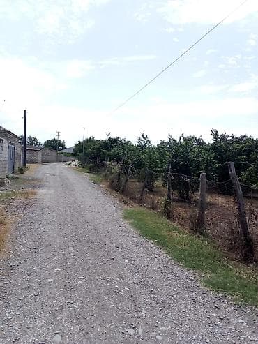 balaxanida satilan evler: Kənd təsərrüfatı — 1