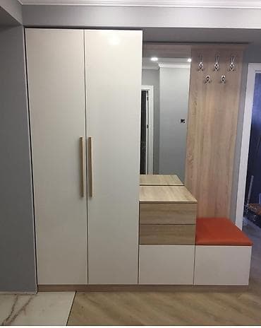 Düz dolab, Dəhliz üçün, Qarderob, Açılan, Quraşdırıla bilən, 2 qapılı