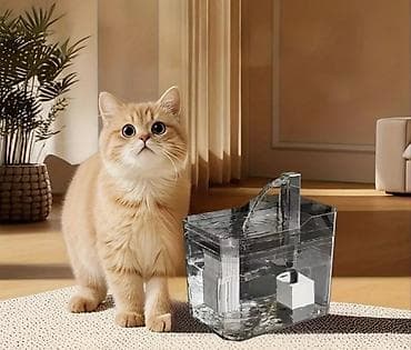 Şəffaf akril materialdan hazırlanmış ev heyvanları üçün avtomatik su lalafo.az -da Şəffaf akril materialdan hazırlanmış ev heyvanları üçün avtomatik su