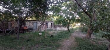 продажа и аренда домов: 5 sot, Tikinti, Mülkiyyətçi, Kupça (Çıxarış) — 1