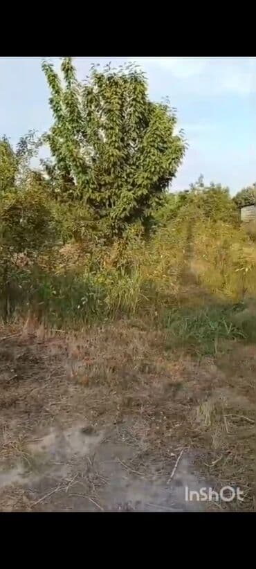 ovcu mağazası unvan: 18 sot, Biznes üçün, Mülkiyyətçi, Kupça (Çıxarış), Texniki pasport — 3