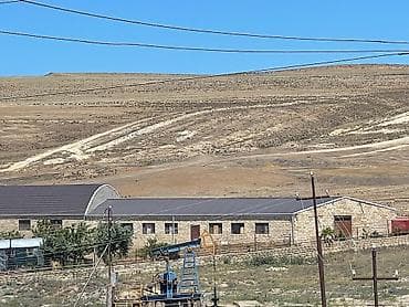 18 sot, Kənd təsərrüfatı, Mülkiyyətçi, Kupça (Çıxarış) — 2