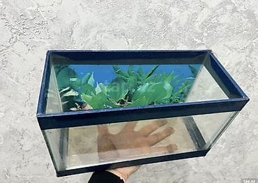 coban it adlari: Dördbucaq akvarium, Boş, 7 l, Ünvandan götürmə, Ödənişli çatdırılma — 2