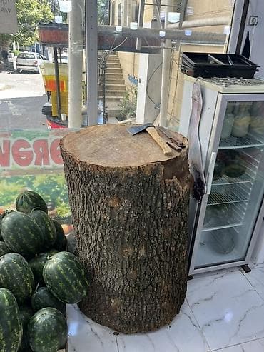 мох: Böyük ölçülü ət doğrama kötüyü (taxta kötük) - Təbii, qalın gövdədən — 2