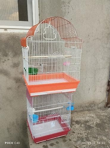 İki ədəd qefes qiymet 2 sine aiddi