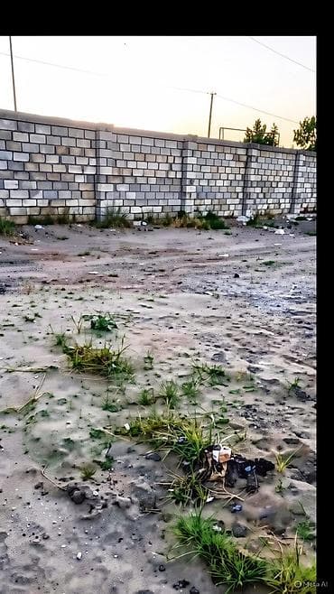 xocasən torpaq: 36 sot, Tikinti, Kupça (Çıxarış) — 1