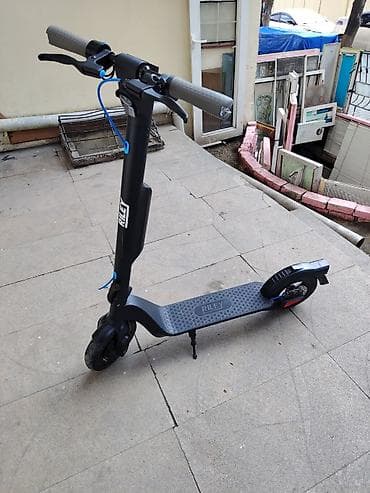 elektrik skutur: 4 ayın skuter idi. Riley elektrik skuter - Şəhər içi gündəlik — 1