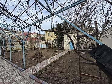 ev torpaq: Kupca var qaracuxur — 1