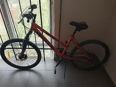 alman velo: 24 lük isma velospet her yeri alminyumdur tek problemi skorus islemir — 2