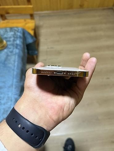 arxa goruntu kamera: IPhone 13 Pro Max, 128 GB, Matte Gold, Simsiz şarj — 6