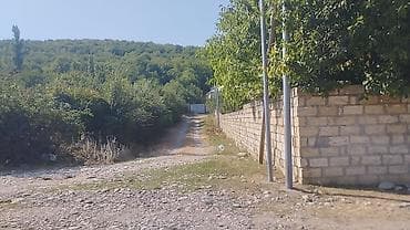 xalca satılır: Quba rayonu Alpan kendi 7sot həyata yanı torpaq satılır tikinti yox — 6