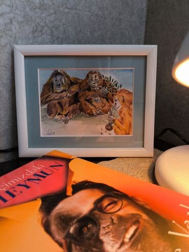 meymun şəkilləri: Çərçivəyə salınmış, müxtəlif mövzularda meymunların təsvir olunduğu — 1