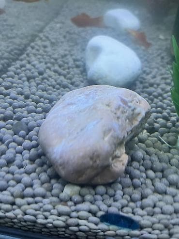 akvarium hava: Akvarium dekorativ daş — 2