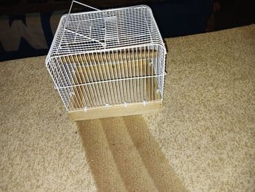 quş hini: Qefes — 4