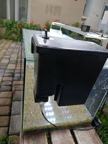 Зоотовары: Akvaryum komplekti - Şüşə akvaryum: təxmini ölçü 70×40×40 sm düz — 6