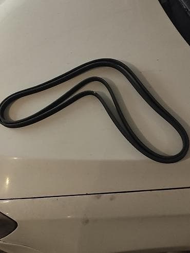 mini ekskavator: RIDEX V-Ribbed Belts (çox yivli kəmər) - Brend: RIDEX - Model/Part — 4