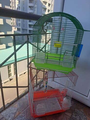 купить клетку для морской свинки: Quş qəfəsləri dəsti - 2 ədəd qəfəs: biri yaşıl tağlı damlı, digəri — 1