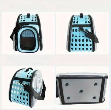 русская голубая кошка баку: Qara rəng — 3