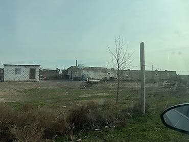 zigda satilan heyet evleri: Mal-qaranın saxlanışı və heyvandarlıq üçün təsərrüfat sahəsi və — 6