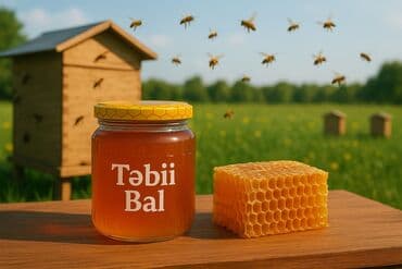 Kia: Məhsul: Təbii arı balı və şanı balı Elan realdır, heç bir şübhə — 1