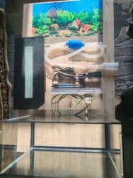 canlı yem: Şüşə akvarium komplekti - Ölçü: 45×20 sm (dikdörtgen forma, geniş ön — 4