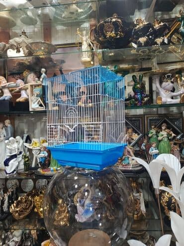 quş qəfəsləri: Qəfəs 9azn Valnisti Tutuquşu Qəfəsi 9azn Amadin Bülbül Qəfəsi 9azn — 9