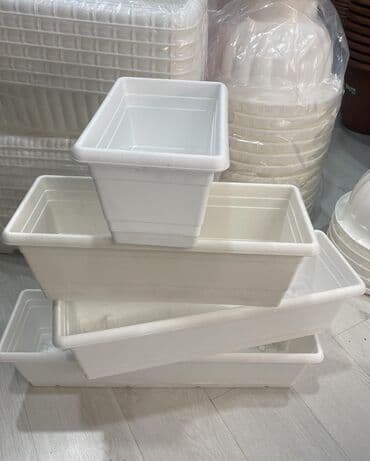 Otaq bitkiləri: Dibcek satisi 🌸 Dibçəklər 🌸 📏 30 sm 📏 50 sm 📏 60 sm 📏 70 sm 💵 — 1