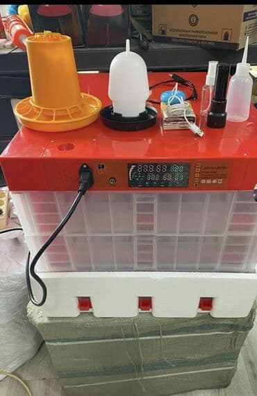 300 yumurta, Tam avtomat