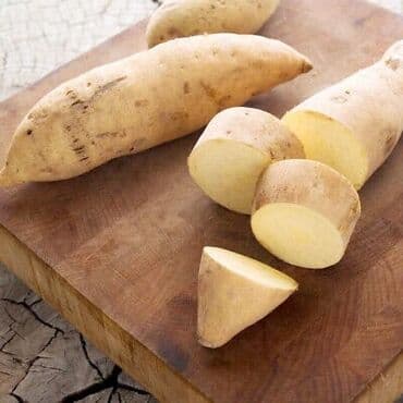 qanqal toxumunun faydaları: Azərbaycanda, rayonlarımızın təmiz torpaqlarında yetişən bu yeni kök — 2