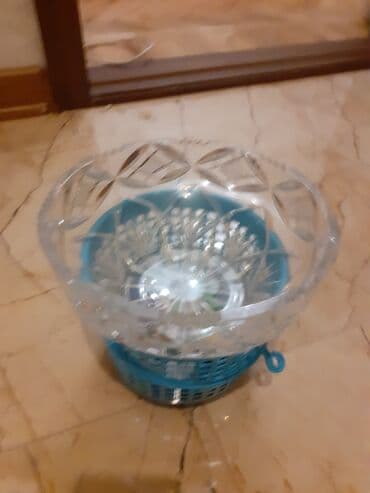 əjdaha meyvəsi qiyməti: Meyve qabi xrustalni tezedi qiymetde razılaşarıq tecili — 1