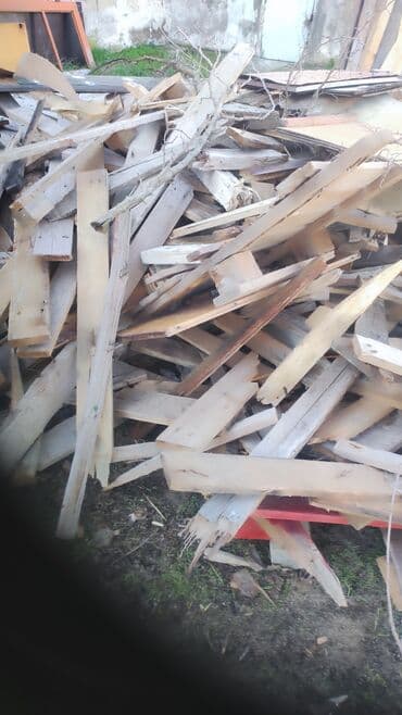 yolka agaci satisi: Ocaq/isitmə üçün doğranmış taxtaparcaları. İcində hər cür taxtalar — 8