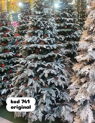 Məhsul: “Kod 741 Original” süni şam ağacı 210 Azn Alınıb. - Realist lalafo.az -da Məhsul: “Kod 741 Original” süni şam ağacı 210 Azn Alınıb. - Realist