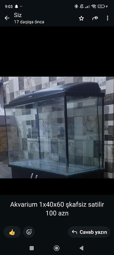 Akvarium satılır.Şkafsiz hava filteri qizdiricisi var. Ölçülər: 100 x lalafo.az -da Akvarium satılır.Şkafsiz hava filteri qizdiricisi var. Ölçülər: 100 x