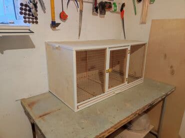 quş qəfəs: Papuqay,dovşan,hamster,şinşila,bildirçin,cücə,xamyak,pişik,quş,tısbağa — 2