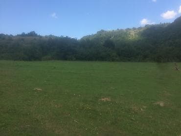 dasinmaz emlak mingəçevir: 20 sot, Biznes üçün, Mülkiyyətçi, Kupça (Çıxarış) — 7