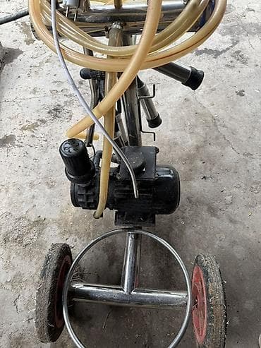 Cüt bidon, Azərbaycan lalafo.az -da Cüt bidon, Azərbaycan