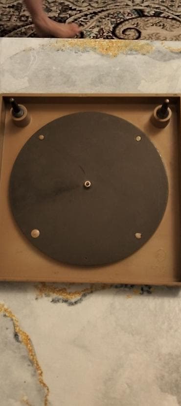 gitara satisi: At füqur satılır. Əla vəziyyətdədir — 3
