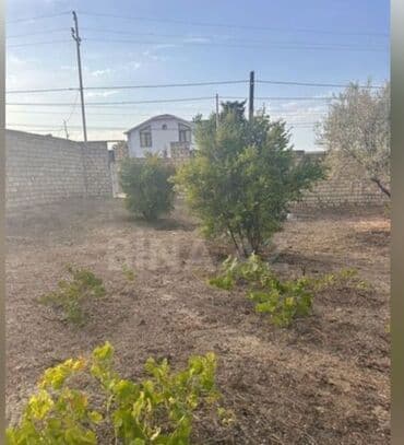 xacmaz torpaq sahesi satilir: Tikinti — 3