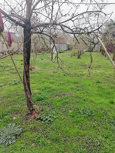 xirdalanda heyet evleri kreditle: Kupça (Çıxarış) — 1