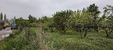 cinarli park ev satilir: 10 sot, Kənd təsərrüfatı — 4