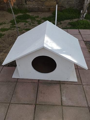 xaski itlər: Ağ rəngli taxta it evi - Material: möhkəm taxta lövhələr, xaricə — 3