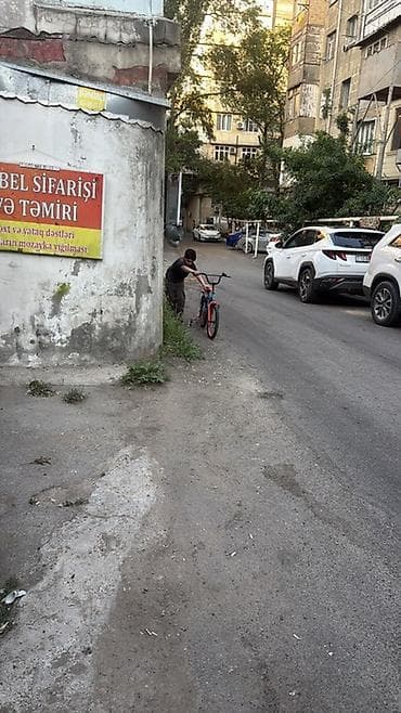 icarə koşk: Meyvə-tərəvəz mağazası – geniş çeşid Təqdim olunur: - Gündəlik təzə — 2
