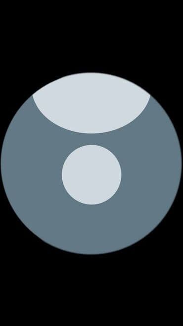 boz pişik şəkilləri: Kiraye ev axtariram ehmedlide maklerler narahat edmesin — 1