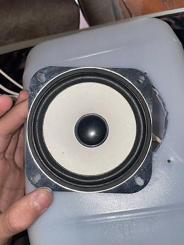 playstation 4 oyunlar: 4 düymlük (təxminən 10 sm) kvadrat montajlı dinamik və ayrıca kiçik — 4